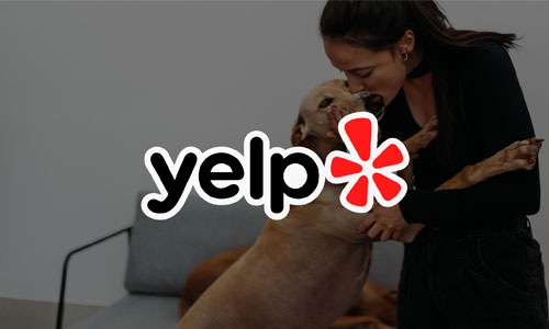 Yelp Yelp graphic
